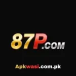 87P Game