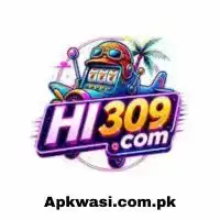 HI309 Game